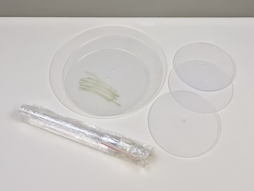 Muxhel set acrylic cake - set,